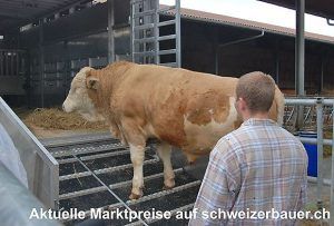 ibt-pep.de – die Partnersuche für die Schweizer Landwirtschaft
