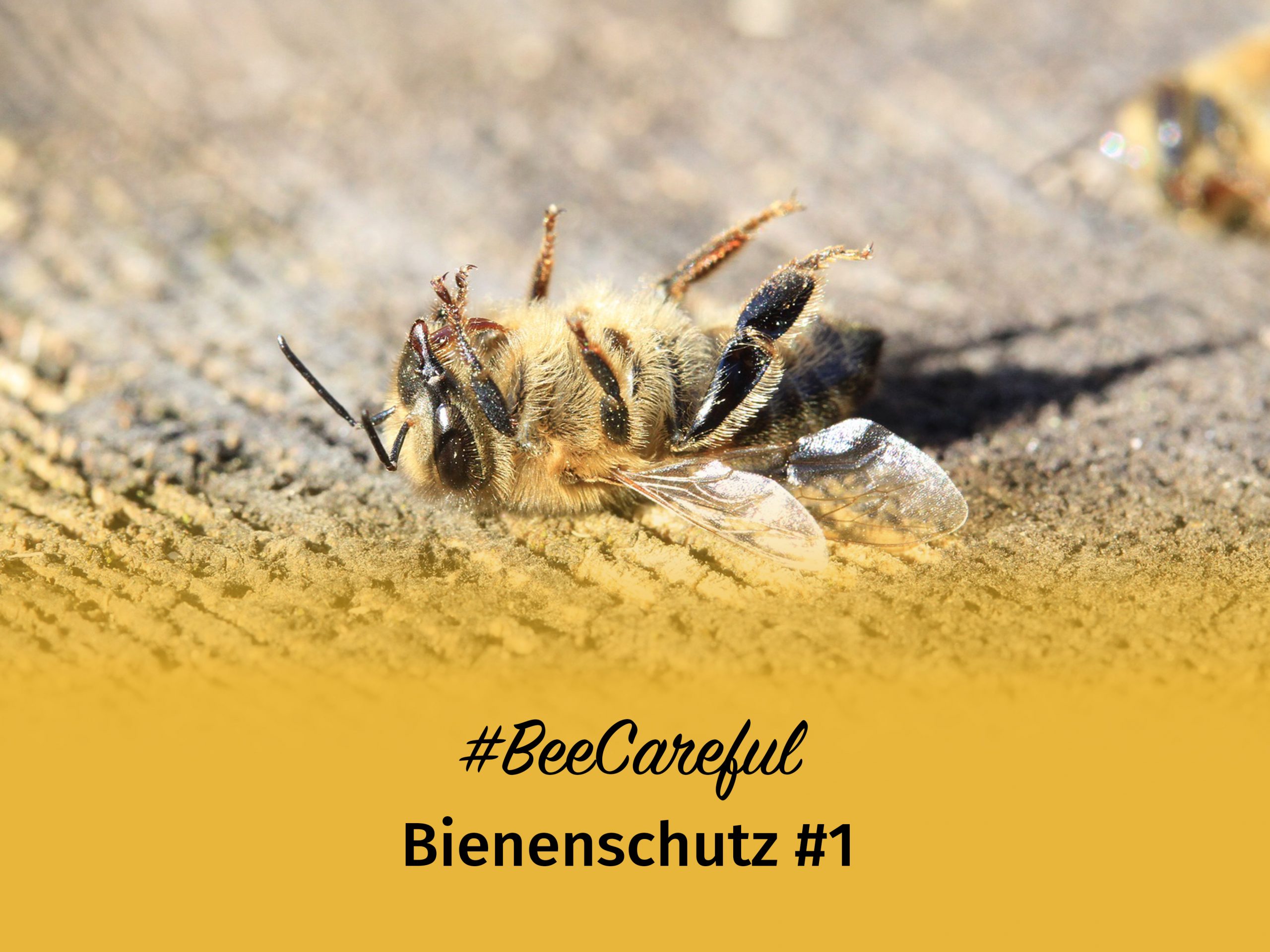 #BeeCareful Bienenschutz