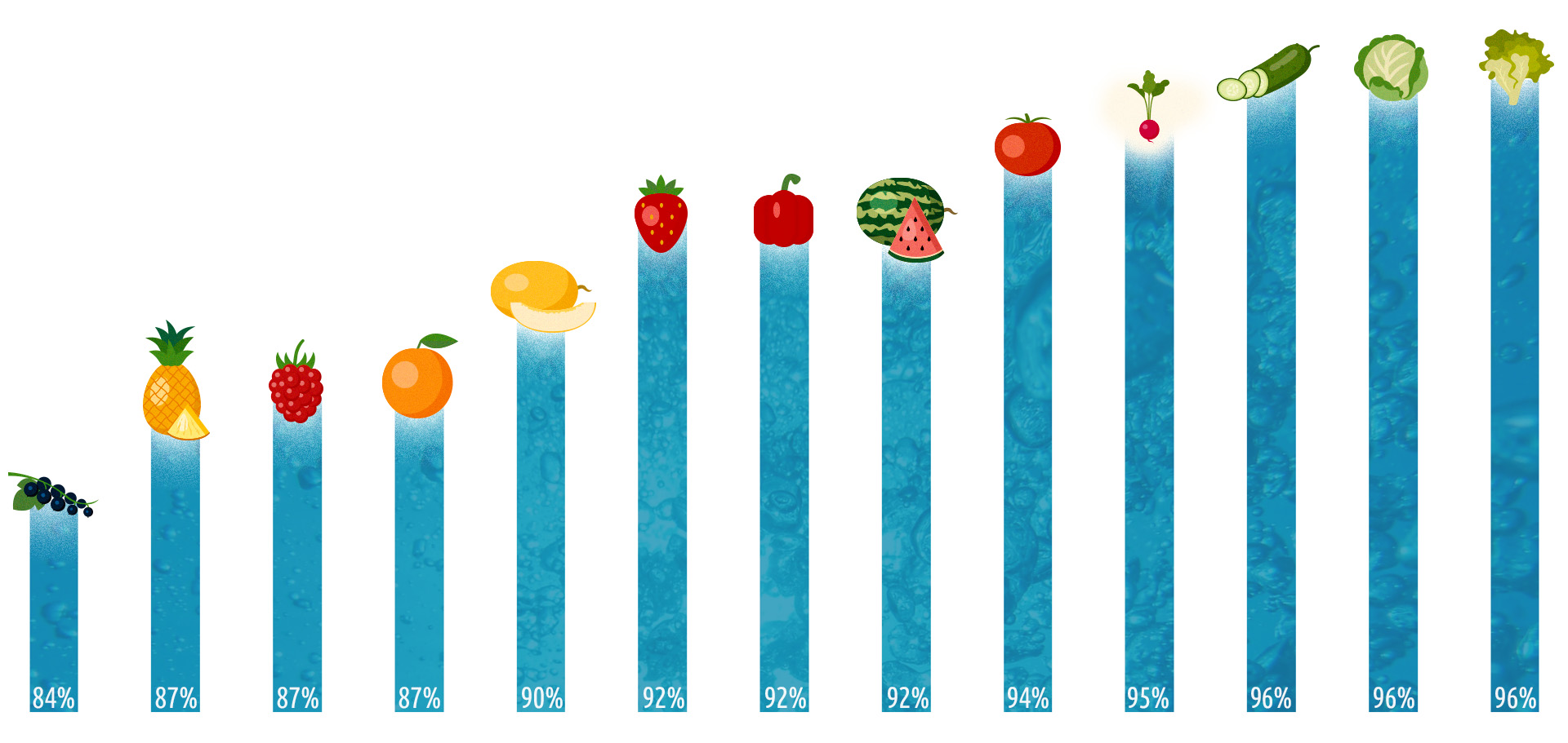 Infografik - welche Lebensmittel haben einen hohen Wassergehalt